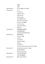 Diplomdarbs 'Phonetic Stylistic Devices in Advertisements', 37.