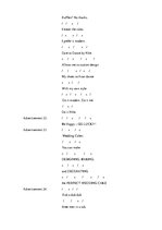 Diplomdarbs 'Phonetic Stylistic Devices in Advertisements', 39.