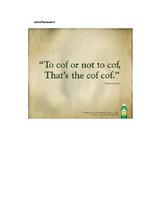 Diplomdarbs 'Phonetic Stylistic Devices in Advertisements', 60.