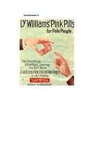 Diplomdarbs 'Phonetic Stylistic Devices in Advertisements', 68.