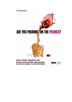 Diplomdarbs 'Phonetic Stylistic Devices in Advertisements', 72.