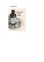 Diplomdarbs 'Phonetic Stylistic Devices in Advertisements', 74.