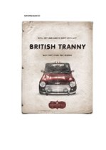 Diplomdarbs 'Phonetic Stylistic Devices in Advertisements', 79.