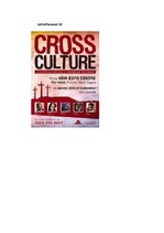 Diplomdarbs 'Phonetic Stylistic Devices in Advertisements', 82.