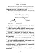 Referāts 'Jēdziena saturs un apjoms', 3.