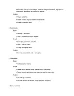 Konspekts 'Ēģipte un Divupe - salīdzinājums', 2.