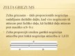 Prezentācija 'Zelta griezums', 5.