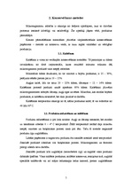 Referāts 'Augļu un dārzeņu konservēšana', 5.