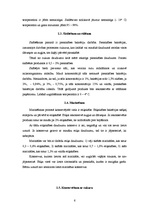 Referāts 'Augļu un dārzeņu konservēšana', 6.