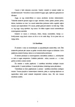 Referāts 'Augļu un dārzeņu konservēšana', 7.