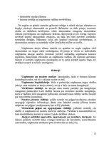 Referāts 'Akciju tirgus novērtējums', 12.