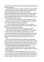 Referāts 'Cilvēka – dzīvnieka attiecības', 3.