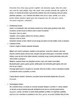 Eseja 'Ausekļa dzejolis "Gaismas pils"', 4.