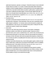 Eseja 'Ausekļa dzejolis "Gaismas pils"', 5.