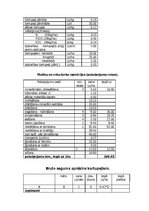 Referāts 'ZS "Saules" ražošanas programma', 11.
