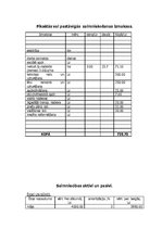 Referāts 'ZS "Saules" ražošanas programma', 13.