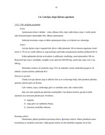 Referāts 'Latvijas šķirnes zirgi', 14.