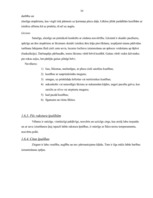 Referāts 'Latvijas šķirnes zirgi', 16.