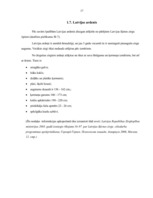 Referāts 'Latvijas šķirnes zirgi', 17.