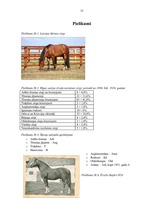 Referāts 'Latvijas šķirnes zirgi', 33.