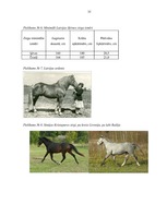 Referāts 'Latvijas šķirnes zirgi', 35.