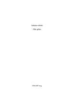 Referāts 'Flīžu grīdas', 1.