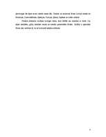 Referāts 'Flīžu grīdas', 4.