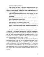 Referāts 'Flīžu grīdas', 5.