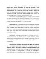 Referāts 'Flīžu grīdas', 6.