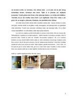 Referāts 'Flīžu grīdas', 7.