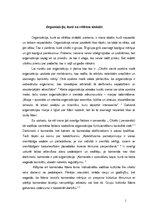 Eseja 'Organizācija, kurā es vēlētos strādāt', 1.