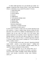 Eseja 'Organizācija, kurā es vēlētos strādāt', 5.