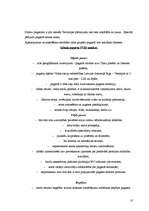 Referāts 'Tūrisma plānošanas elementi Ģibuļu pagastā', 10.