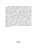 Referāts 'Nīderlande', 7.