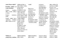 Paraugs 'SLA (sasniedzamo līmeņu apraksts)ģeogrāfijā 7.klasei', 9.