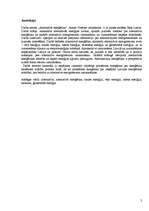 Referāts 'Alternatīvā enerģētika', 2.