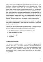 Referāts 'Alternatīvā enerģētika', 11.