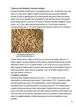 Referāts 'Alternatīvā enerģētika', 18.