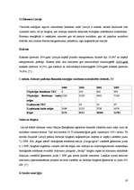 Referāts 'Alternatīvā enerģētika', 19.