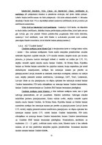 Referāts 'Maksājumu kartes un to izmantošana jauniešu vidū', 11.