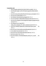 Referāts 'Maksājumu kartes un to izmantošana jauniešu vidū', 20.