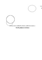 Paraugs 'Sociālā gadijuma risināšana', 1.