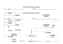 Paraugs 'Sociālā gadijuma risināšana', 15.