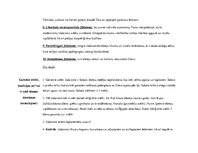 Konspekts 'Jūdaisms', 3.