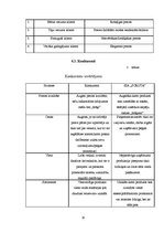 Biznesa plāns 'Biznesa plāns', 10.