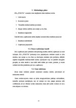 Biznesa plāns 'Biznesa plāns', 13.