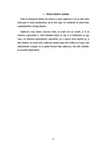 Biznesa plāns 'Biznesa plāns', 17.