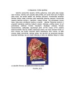 Konspekts 'Cilvēka ģenētika', 1.