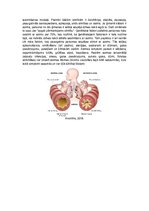 Konspekts 'Cilvēka ģenētika', 4.