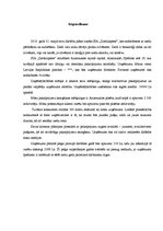 Biznesa plāns 'Biznesa plāns ziedu veikalam', 3.